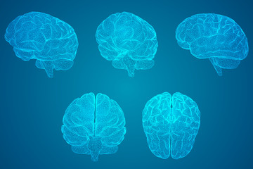 探索Web前端三大主流框架，React、Vue与Angular的异同与优势