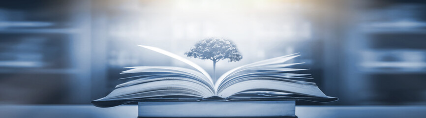 天气预报15天查询，未来两周的天气趋势与出行建议