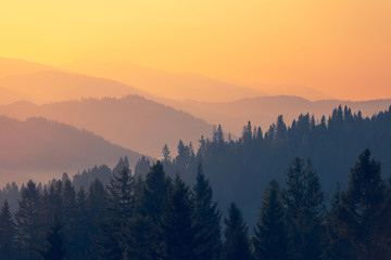 探索Web前端三大主流框架，React、Vue与Angular的异同与优势