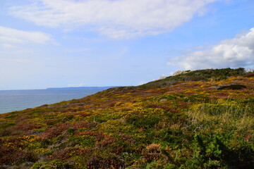 天气预报15天查询，未来两周的天气趋势与出行建议