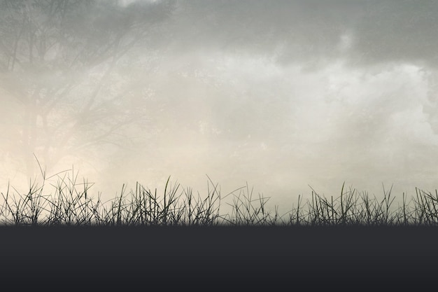 十五天气预报，未来两周的天气趋势与出行建议