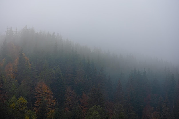 24小时精准天气预报，未来天气的智慧之眼